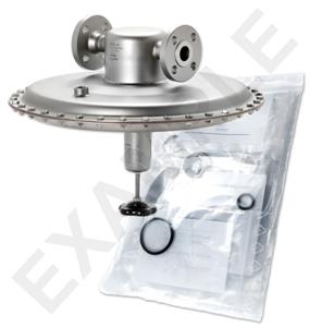 Mankenberg 6630199TA-26  WS Maintenance Kit WS/DM762-25-FA04-16-D022-2,2-V1-PS-E82 |