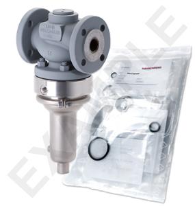Mankenberg 66182448A     WS Maintenance Kit WS/DM618-100-FA22-150-D054-100-CS-EE-N |