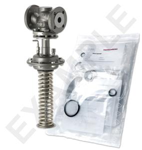 Mankenberg 65531626A-E   WS Maintenance Kit WS/DM613-40-FA13-40-D054-20-CS-EE-N |
