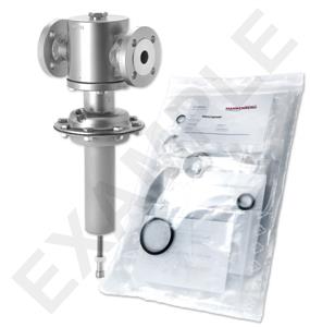Mankenberg 6524048UA-101 WS Maintenance Kit WS/DM512-15-GA02-100-D040-0,05-V1-YT-N |