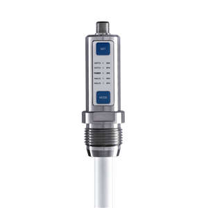 Rechner Sensors KFI-12-585-500-PTFE/VAb-D16-G1-IL4-ETF-Y10 Capacitive Level Measurement Systems (KFI / KFS / KFA / KFX)