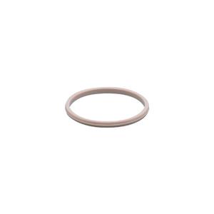 IFM PEEK SEAL Gasket