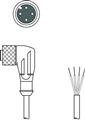 Leuze KD U-M12-4W-P1-100-DP Connection cable