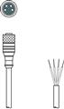 Leuze KD U-M8-4A-V1-020 Connection cable