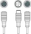 Leuze K-Y1 M12A-2m-M12A-S-PUR Interconnection cable