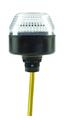 Leuze P65-V1-B-DW Indicator