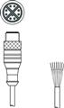 Leuze KS GB-M12-8A-P7-300 Connection cable
