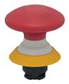 Schmersal NDRZ50RT-2905-1