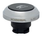 Schmersal EX-RDTSW/510D