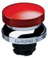 Schmersal EX-RDP40RT