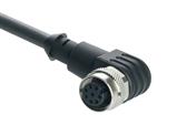 Schmersal A-K8P-M12-S-W-15M-BK-2-X-A-4