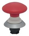 Schmersal NDRZ50RT/O.SYM.