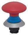 Schmersal NDP50BL/RT