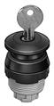 Festo PRS-30-RT Mushroom pushbutton, detenting