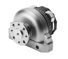 Festo DSRL-32-180-P-FW Semi-rotary drive