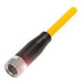 Balluff BCC M314-0000-10-003-PX4434-100 Single-ended cordsets