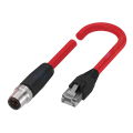 Balluff BCC M414-E894-8G-672-ES24N9-600 Double-ended cordsets
