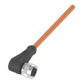 Balluff BCC M425-0000-1A-034-PW3534-100 Single-ended cordsets