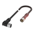 Balluff BCC M62L-M61L-70-350-PX0LP5-050 Double-ended cordsets