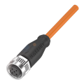 Balluff BCC M415-0000-1A-003-PW3434-100 Single-ended cordsets
