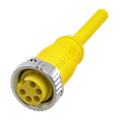 Balluff BCC A315-0000-10-063-VX45W6-100 Single-ended cordsets