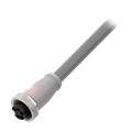 Balluff BCC A315-0000-10-030-VS85N5-050 Single-ended cordsets
