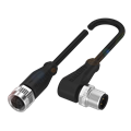 Balluff BCC M415-M423-3A-300-PX0334-010 Double-ended cordsets