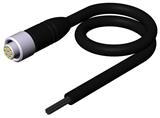 Euchner C-M12F08-07X025PV20,0-MA-099634 Connecting cable with plug connector M12, 8-pin, 20 m