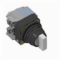 Allen Bradley 800H-16HRWH5KL8AX 800H PB