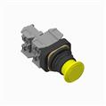 Allen Bradley 800H-FRXT9H 30mm Push-Pull Device 800H PB