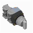 Allen Bradley 800T-16HCH17KB6AA 800T PB