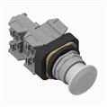 Allen Bradley 800T-FXNQH2WG1 800T PB