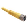 Allen Bradley 889P-F4ABDE-0M3 Pico Cable