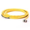 Allen Bradley 889P-P3ABD4M-2 Pico Cable