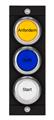 Euchner MSM-1-P-CA-PPP-D8-161921 Submodule MSM-1-P (3 illuminated pushbuttons)