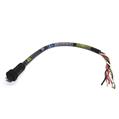 Allen Bradley 280-PWRM22E-M6 ArmorConnect 3-PH Power Media drop cable