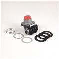 Allen Bradley 800TC-B6A4 30mm Momentary Push Button 800T PB