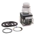 Allen Bradley 800T-QB24WA2 30mm Momentary Push Button 800T PB