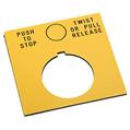 Allen Bradley 800T-X647Y 30mm 800T PUSH-TO-STOP/TWIST RELEASE Lgd