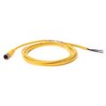 Allen Bradley 889DS-F4AEDM-1 DC Micro Cable