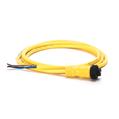 Allen Bradley 889N-F4AEC-30F Mini Cable