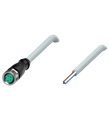 Pepperl+Fuchs V31-GM-10M-PVC Female cordset single-ended M8 straight A-coded, 4-pin, PVC cable grey