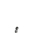 Pizzato VN A00KB-V38 Adjustable straight metal revolving lever with technopolymer roller Ø 18 mm, with external metallic parts in stainless steel