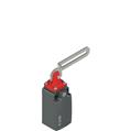 Pizzato FM 20C1-M2-EX7 Safety switch with slotted hole lever ATEX I M2 Ex ia I Mb, II 2G Ex ia IIC T6 Gb Ta: -20/+60°C