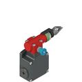 Pizzato FL 2084-M2-EX8 Rope safety switch with reset for emergency stop, ATEX II 2D Ex tb IIIC T80°C Db Ta: -20/+70°C