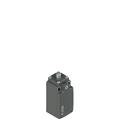 Pizzato FR 501-XM2 Position switch with plunger