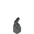 Pizzato FK 307-XM1 Position switch with adjustable one-way roller