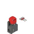 Pizzato FW 592-DM2 Safety switch with separate actuator
