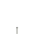 Pizzato VF VAM4X25BW-X Stainless steel security screws