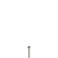 Pizzato VF VAM4X25BX-X Stainless steel security screws